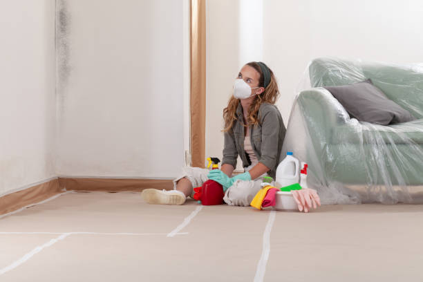 Reliable Mold Removal contractor in Wilsonville, OR by Car Mold Remediation